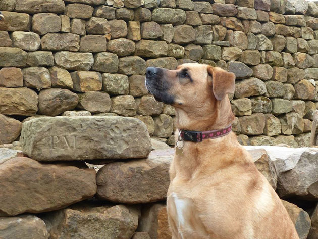 Dry Stone Wall maze, Dalby Forest