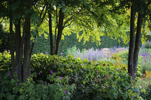 through the trees in the walled garden at Scampston Hall