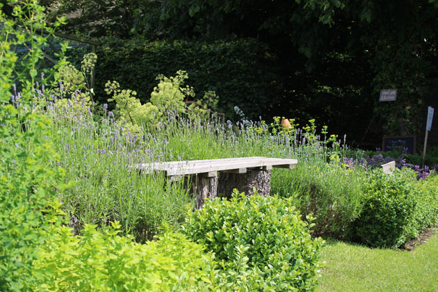 Bench surrounded by fragrant planting in the garden at Nunnington Hall