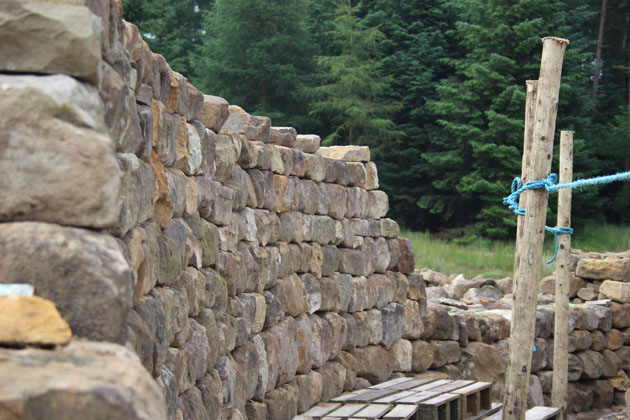 Dry Stone Wall Maze Dalby Forest