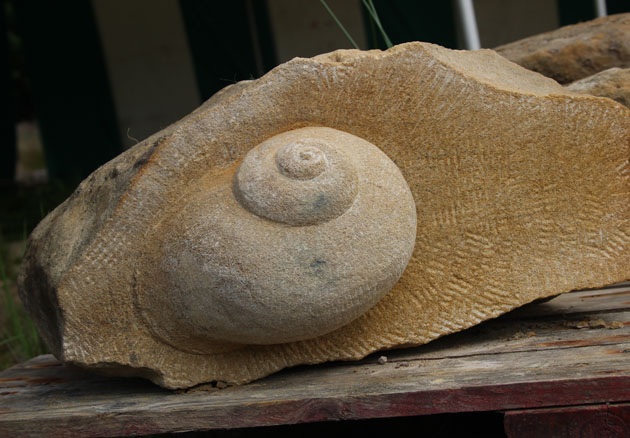 Forest Snail carved in a walling stone