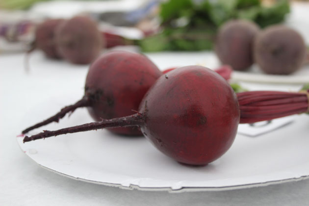 Beet at Rosedale Show