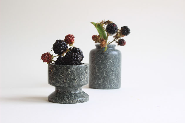 Blackberry stem in a stone vase
