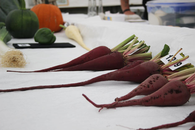 Long beets at Rosedale Show