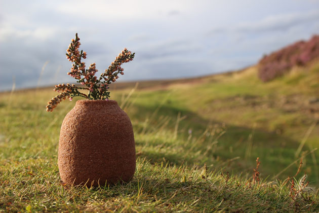 Heather in a vase