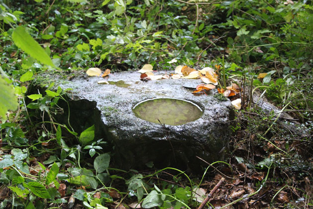 Natural rock shaped birdbath