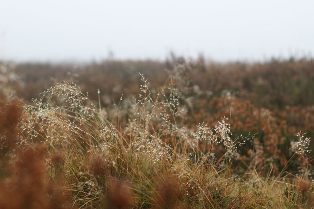 North York Moors above Kirkbymoorside