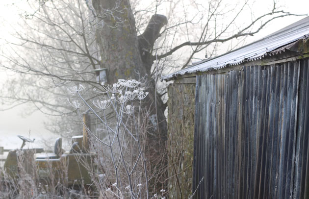 cold-winter-frosts-at-the-workshop