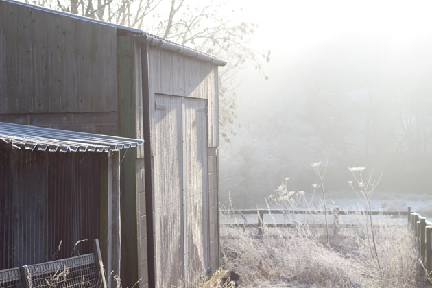 the-winter-sun-on-my-frosty-workshop-doors