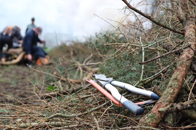 Conservation work with the Yorkshire Wildlife Trust