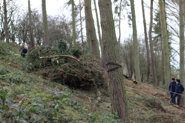 Conservation work with the Yorkshire Wildlife Trust