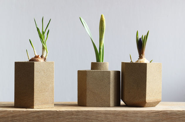 Hexagon pots for spring bulbs and planting