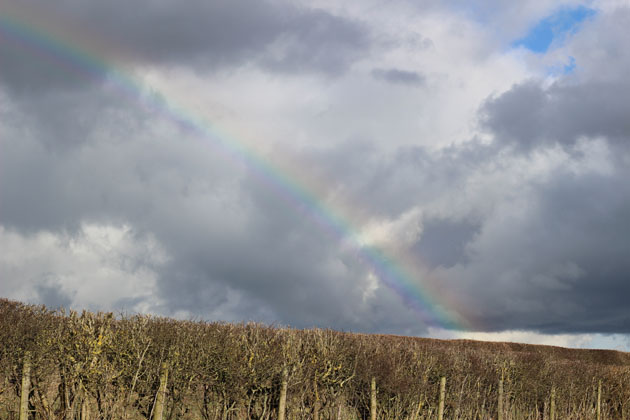 View from the workshop - rainbow