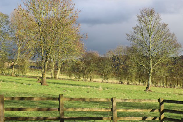 View from the workshop - spring sunshine