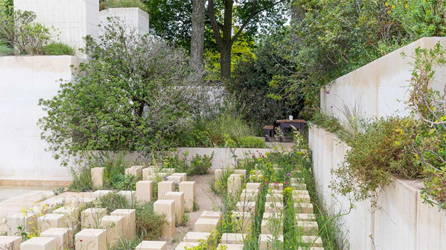 Best in Show RHS Chelsea Flower Show