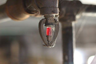 Sprinkler system at Sunny Bank Mills