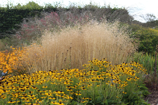 Autumn colour and texture at RHS Garden Harlow Carr