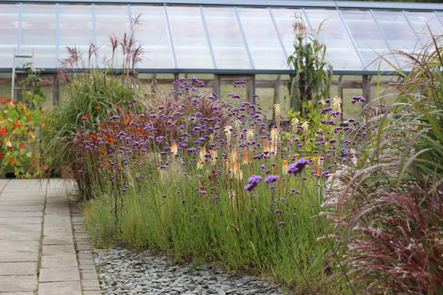 Wildlife area RHS Garden Harlow Carr