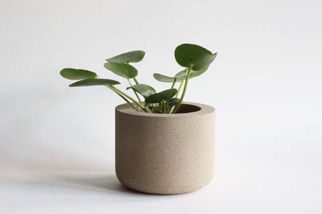 Stone pot with baby Pilea