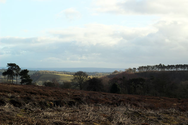 View from Lastingham Ridge