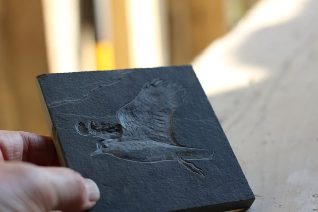 Sketch in slate of a lapwing in flight