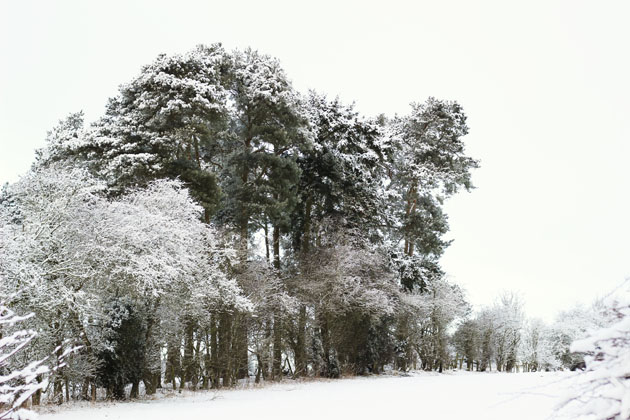 The Siberian blast hits Lastingham