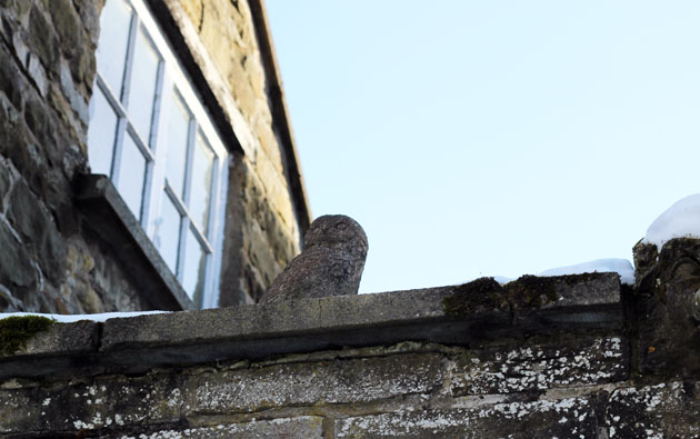 Owl sculpture at Lastingham Grange, Lastingham