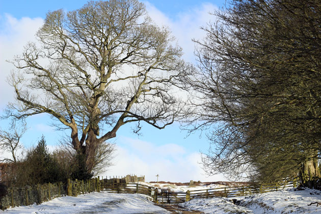 View of the North York Moors from Lastingham Grange, Lastingham