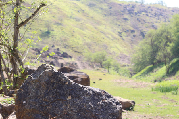 blocks of old weathered stone