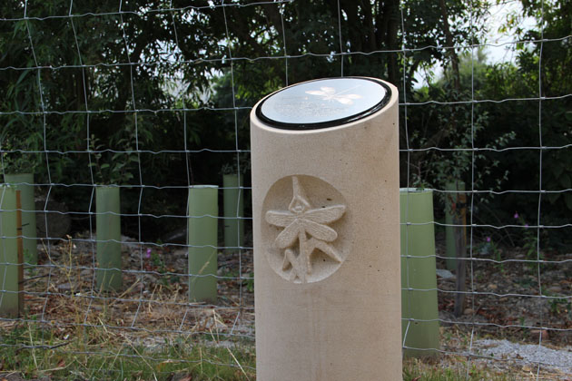 Stone carving of a banded demoiselle damselfly