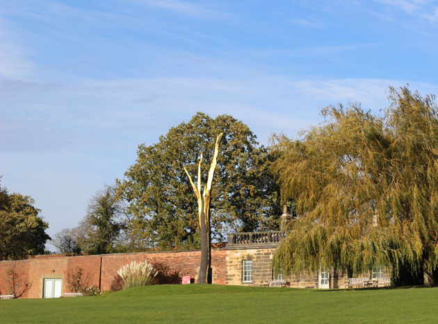 A gilded tree by Giuseppe Penone