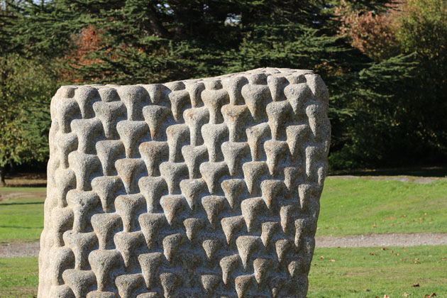 Envelope of Pulsation by Peter Randall-Page