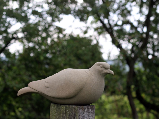 Turtle Dove Sculpture