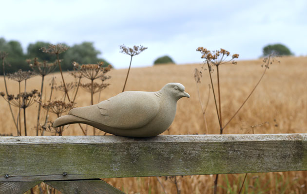 Turtle Dove Sculpture