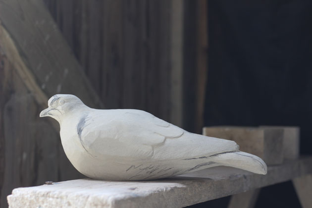 Turtle Dove sculpture carving progress