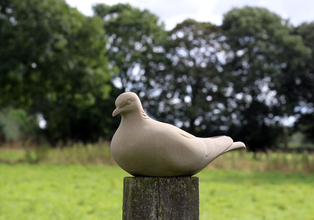 Turtle Dove sculpture