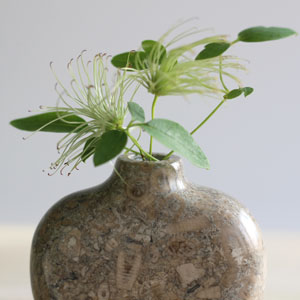 Stem vase in Swaledale Fossil Marble