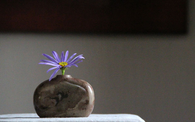 marble vase with Michaelmas Daisy