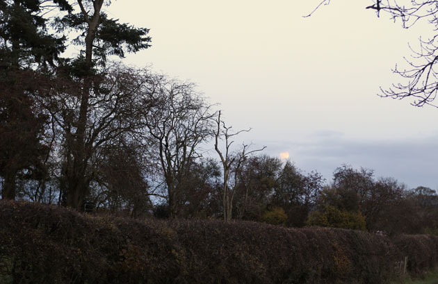 darkness envelopes the Autumn colour