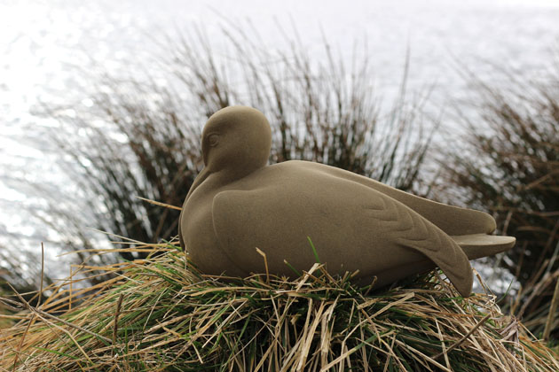 Whimbrel sculpture