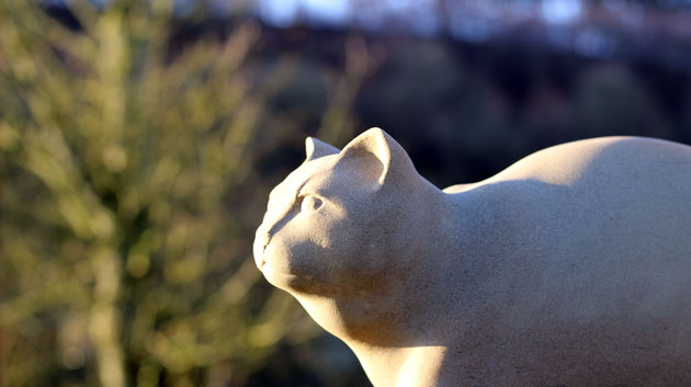 cat sculpture head detail