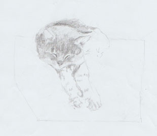 cat sketch