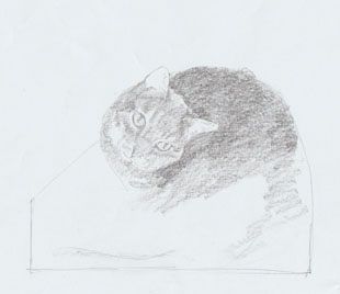 sketch for cat sculpture