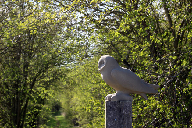 Short-eared Owl sculpture
