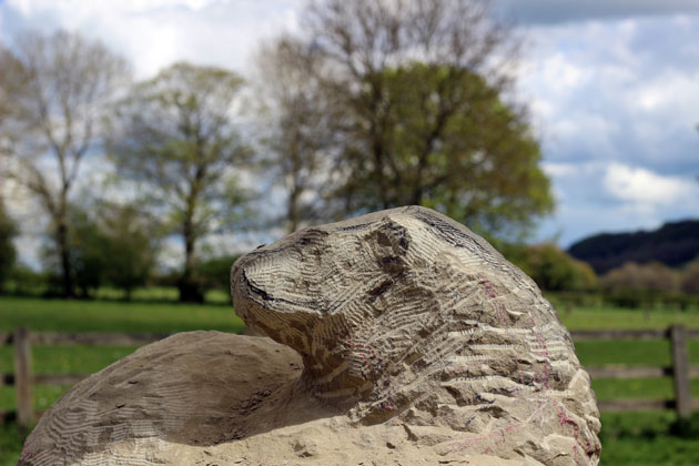 otter carving progress