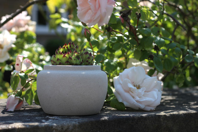 Pots and Planters