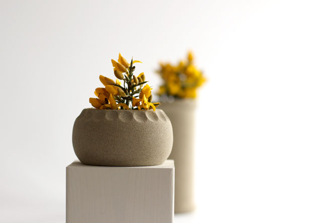 Easter display of Gorse flowers