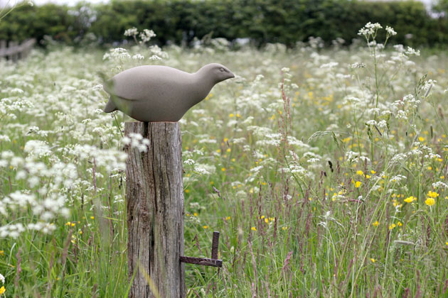 Corncrake bird sculpture