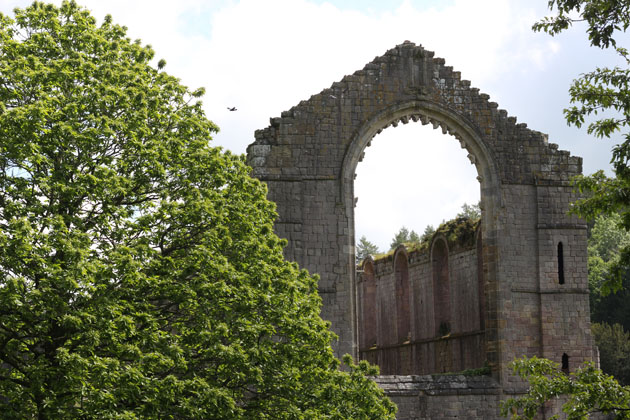 Fountains Abbey ruins