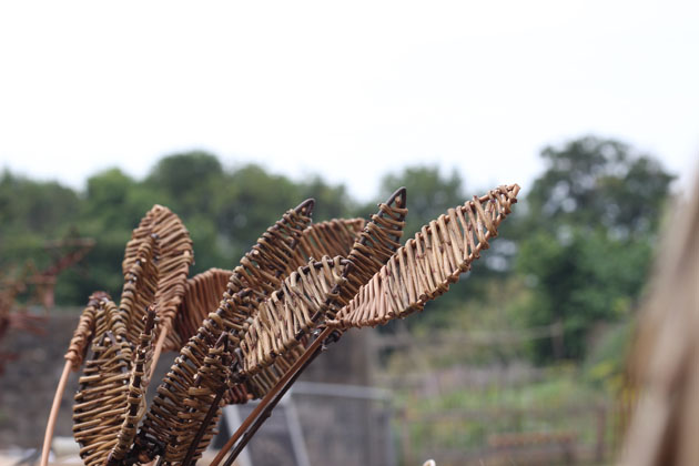 Willow weaving by Anna Cross